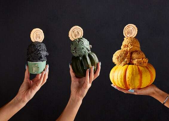 הטעמים החדשים של אניטה // צילום: my social